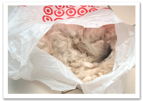 Target Bag of Fur R olson.jpg